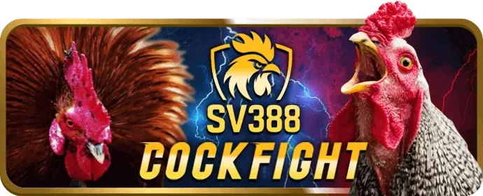 Ưu đãi độc quyền bj3888 khuyến mãi